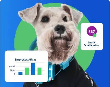 Gerador de Leads